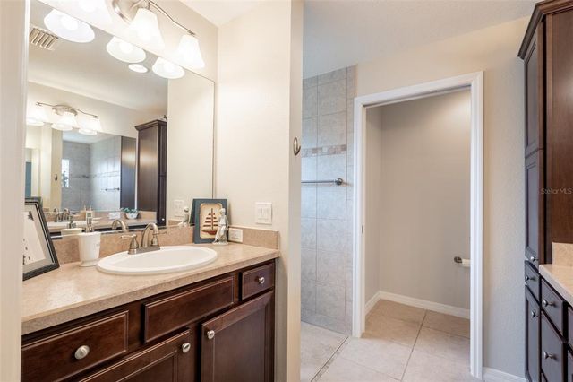 3009 OLENDA DRIVE, The Villages, FL 32163