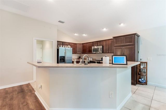 3009 OLENDA DRIVE, The Villages, FL 32163