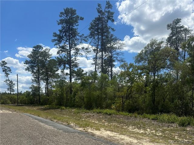 8036 N Wayside Avenue, Dunnellon, FL 34433