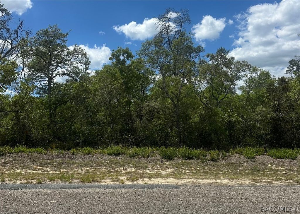 8036 N Wayside Avenue, Dunnellon, FL 34433