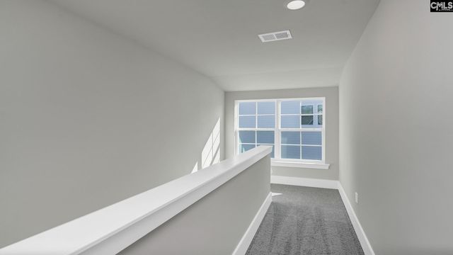 213 Livingston Woods Drive, Irmo, SC 29063