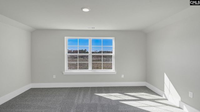 213 Livingston Woods Drive, Irmo, SC 29063