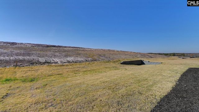 213 Livingston Woods Drive, Irmo, SC 29063