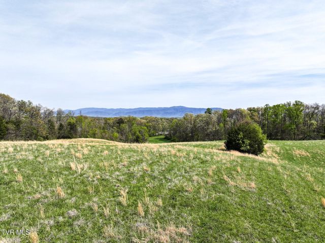1625 Lick Hollow Road, Greeneville, TN 37743