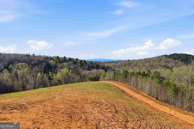 1927 Leeches Road, Ellijay, GA 30540
