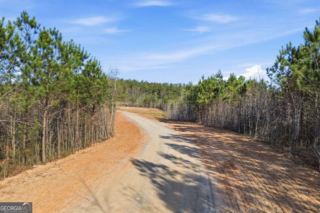 1927 Leeches Road, Ellijay, GA 30540