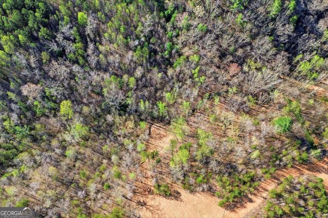 1927 Leeches Road, Ellijay, GA 30540