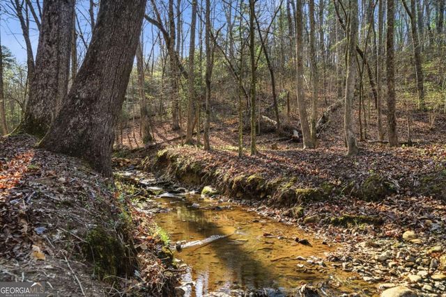 1927 Leeches Road, Ellijay, GA 30540