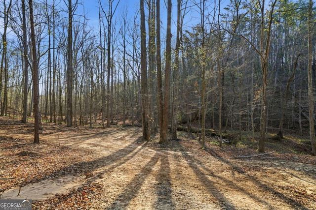 1927 Leeches Road, Ellijay, GA 30540