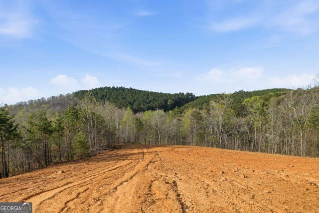 1927 Leeches Road, Ellijay, GA 30540