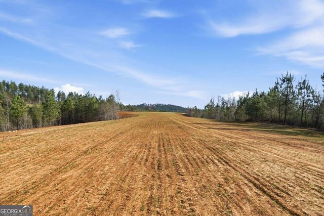1927 Leeches Road, Ellijay, GA 30540