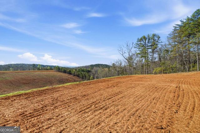 1927 Leeches Road, Ellijay, GA 30540