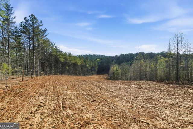 1927 Leeches Road, Ellijay, GA 30540
