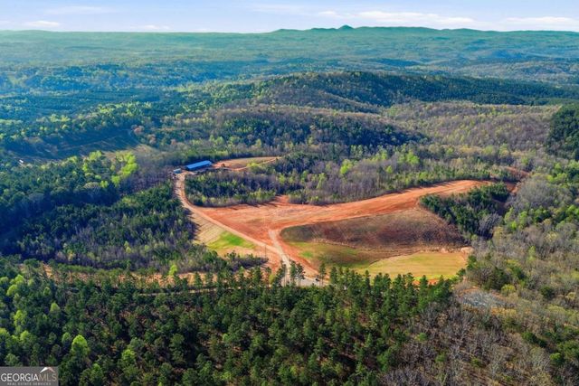 1927 Leeches Road, Ellijay, GA 30540