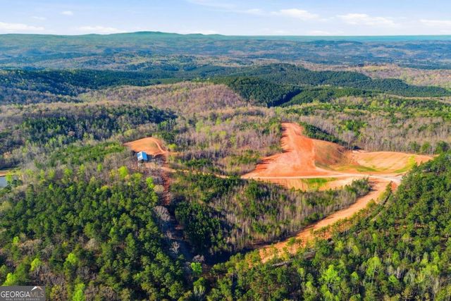 1927 Leeches Road, Ellijay, GA 30540