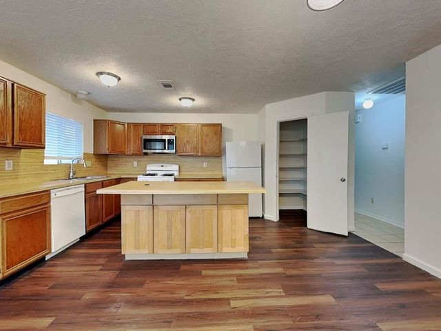 19315 Bristlestar Drive, Katy, TX 77449