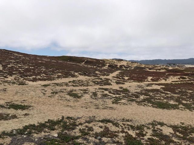 0 Tioga Avenue, Sand City, CA 93955