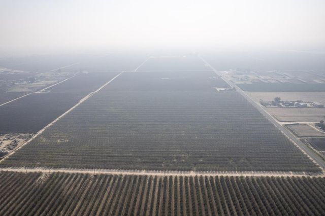 0 S Marks Avenue, Caruthers, CA 93609