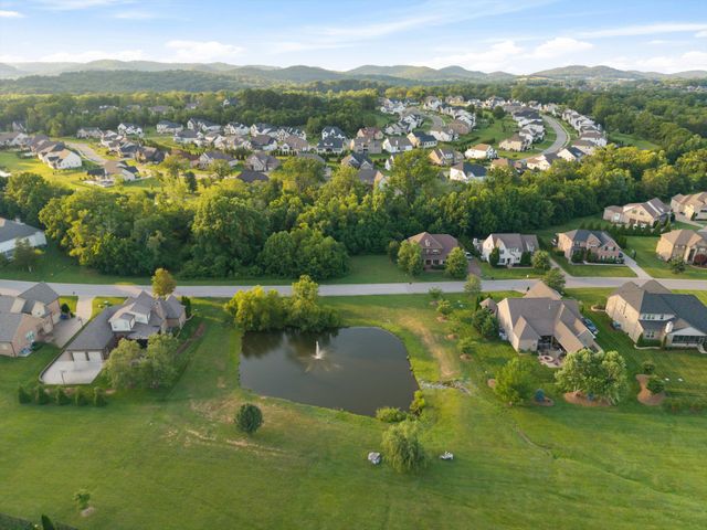 4011 Pinwheel Ct, Arrington, TN 37014