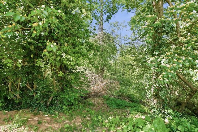 237 Rose Hill Avenue, Versailles, KY 40383