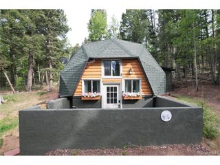 776 Jolly Rogue Dr, Divide, CO 80814