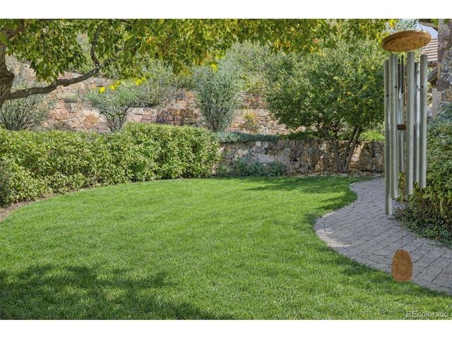 1053 Night Sky Ct, Castle Rock, CO 80108