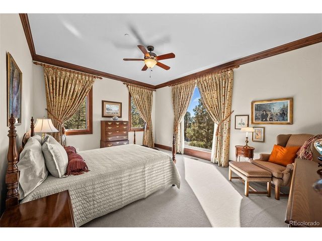 1053 Night Sky Ct, Castle Rock, CO 80108