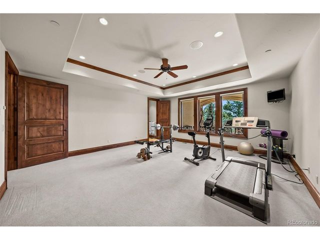 1053 Night Sky Ct, Castle Rock, CO 80108