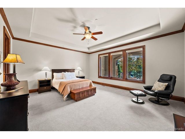 1053 Night Sky Ct, Castle Rock, CO 80108