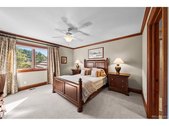 1053 Night Sky Ct, Castle Rock, CO 80108