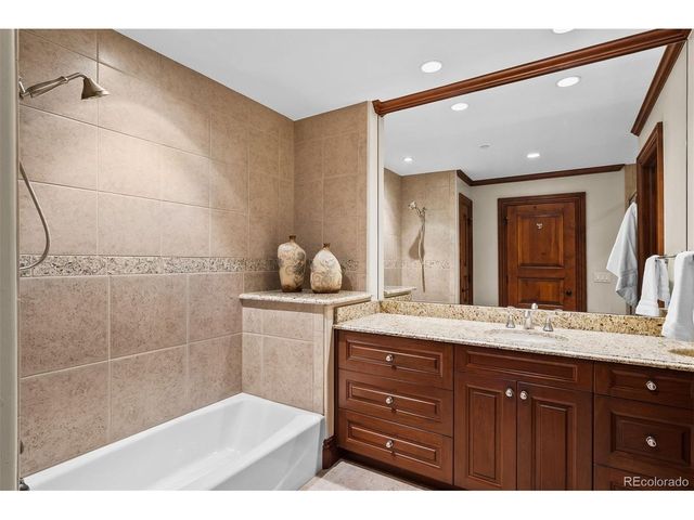 1053 Night Sky Ct, Castle Rock, CO 80108