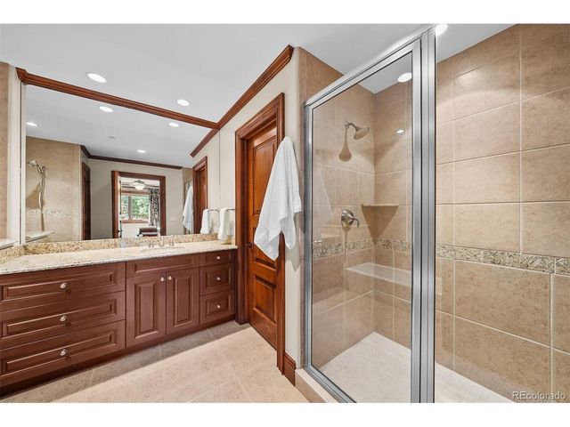 1053 Night Sky Ct, Castle Rock, CO 80108