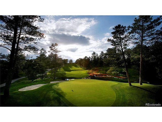 1053 Night Sky Ct, Castle Rock, CO 80108