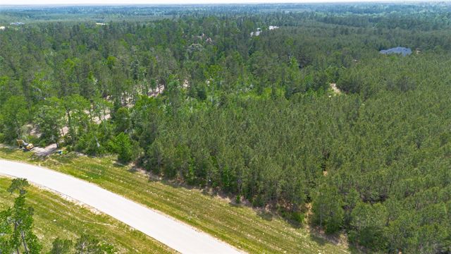 12050 High Branch Way, Willis, TX 77378
