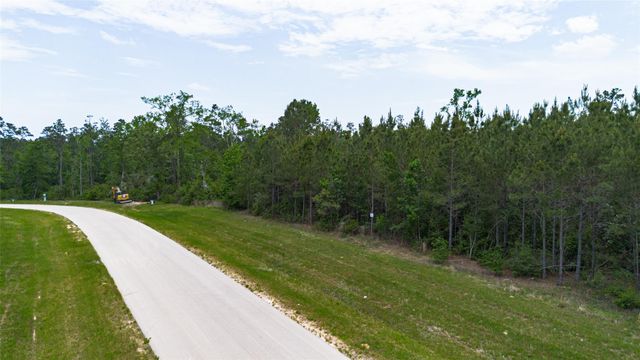 12050 High Branch Way, Willis, TX 77378