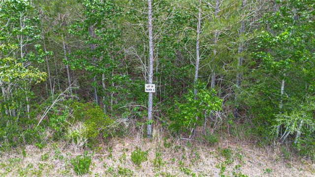 12050 High Branch Way, Willis, TX 77378