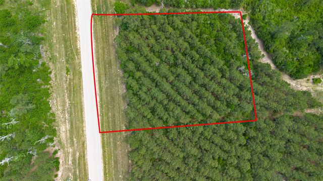 12050 High Branch Way, Willis, TX 77378