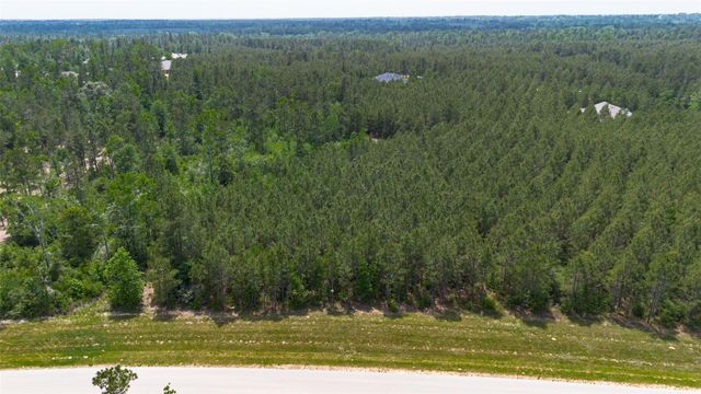 12050 High Branch Way, Willis, TX 77378