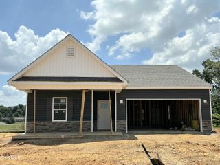 317 Cookie Loop, Gray, TN 37615