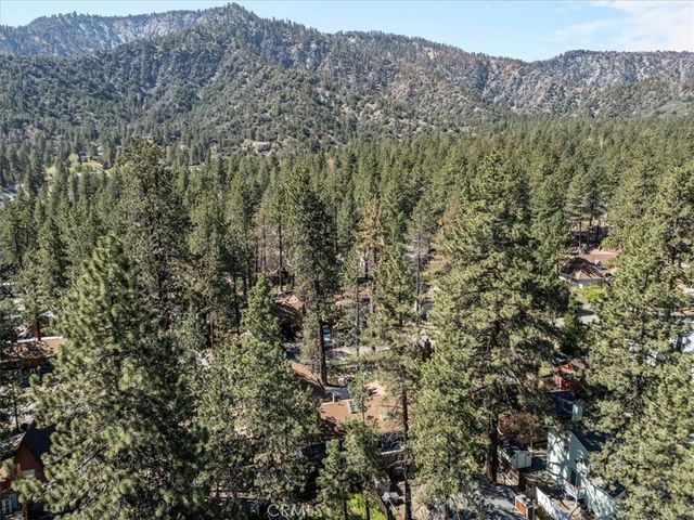 1902 Virginia, Wrightwood, CA 92397