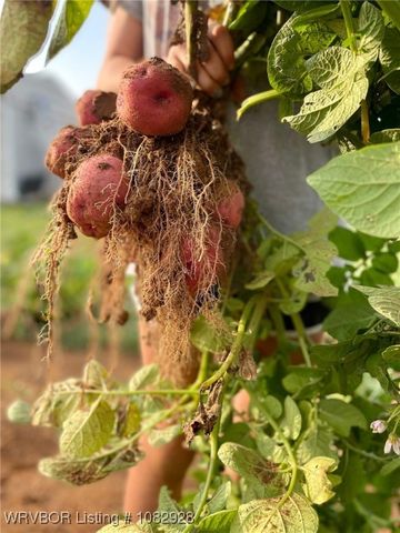 7170 Highway 217, Charleston, AR 72933