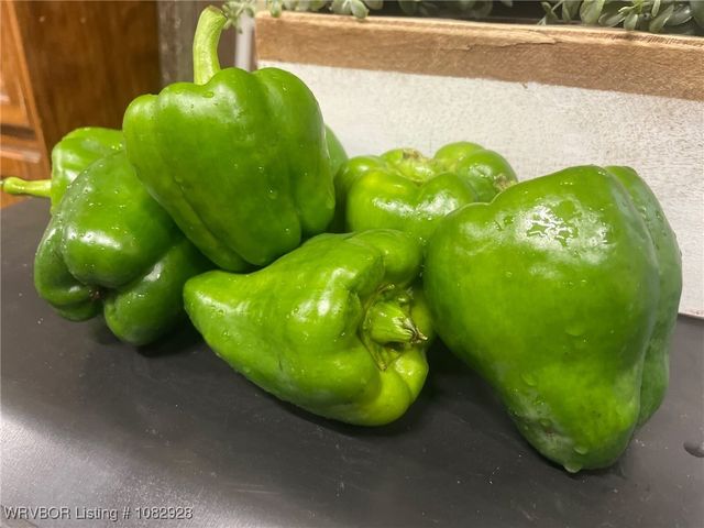 7170 Highway 217, Charleston, AR 72933