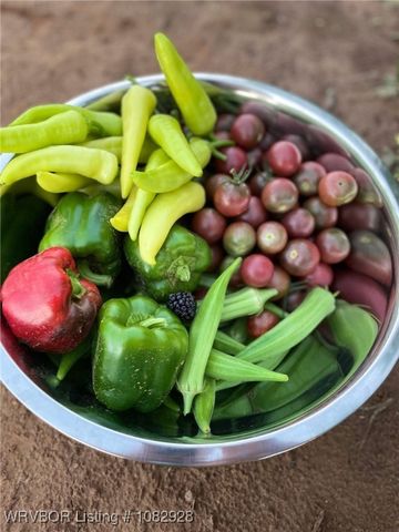 7170 Highway 217, Charleston, AR 72933