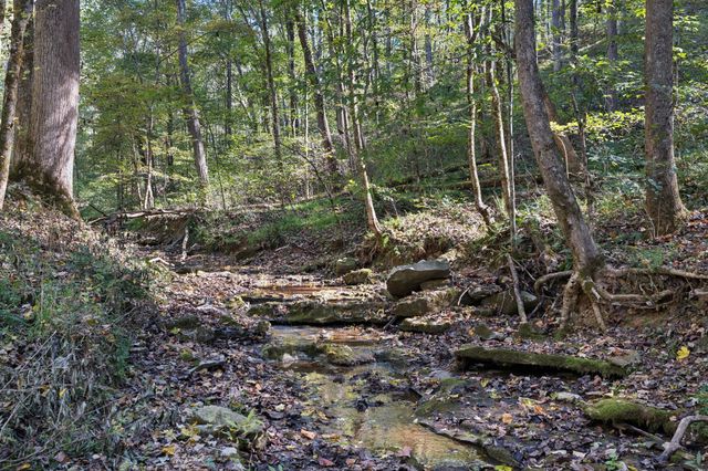 1365 Seymour Dr, Pleasant View, TN 37146