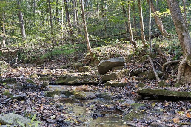 1365 Seymour Dr, Pleasant View, TN 37146
