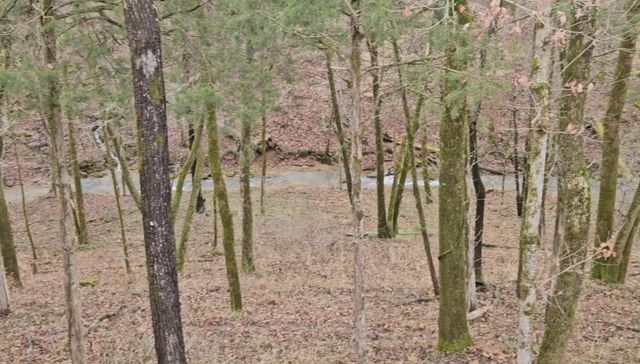 1365 Seymour Dr, Pleasant View, TN 37146