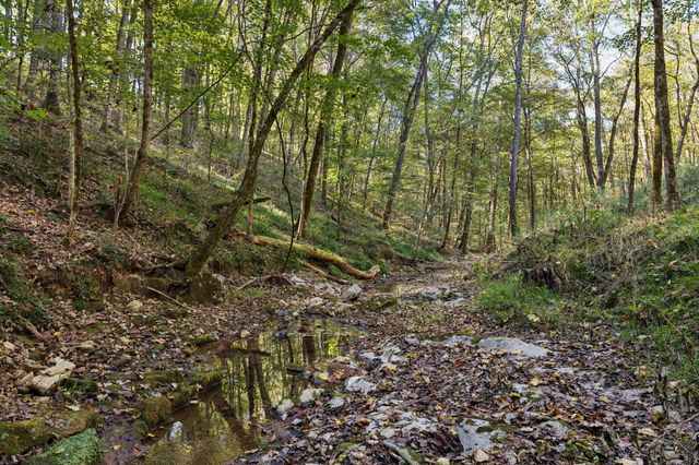 1365 Seymour Dr, Pleasant View, TN 37146