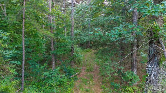 28094 BCR 853, Marquand, MO 63655