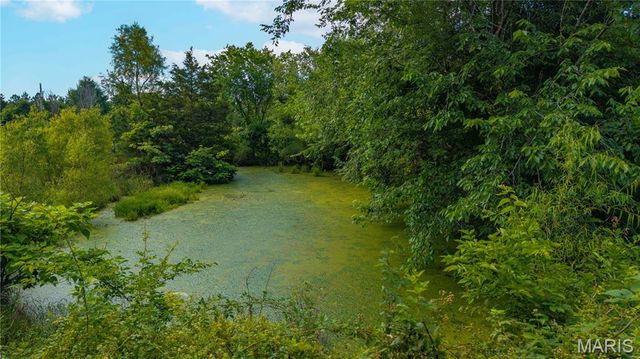 28094 BCR 853, Marquand, MO 63655
