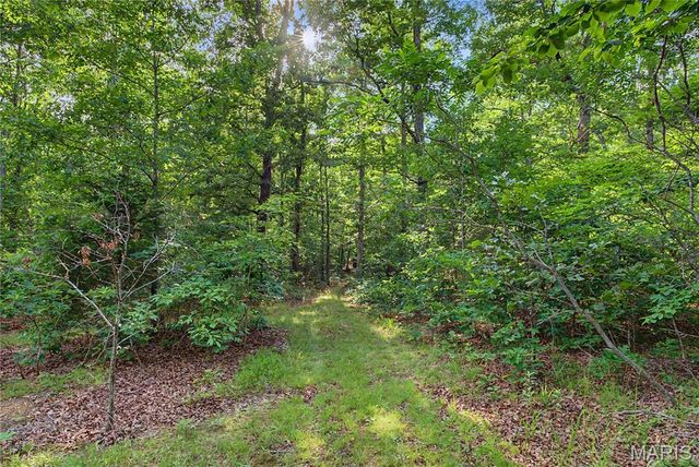 28094 BCR 853, Marquand, MO 63655